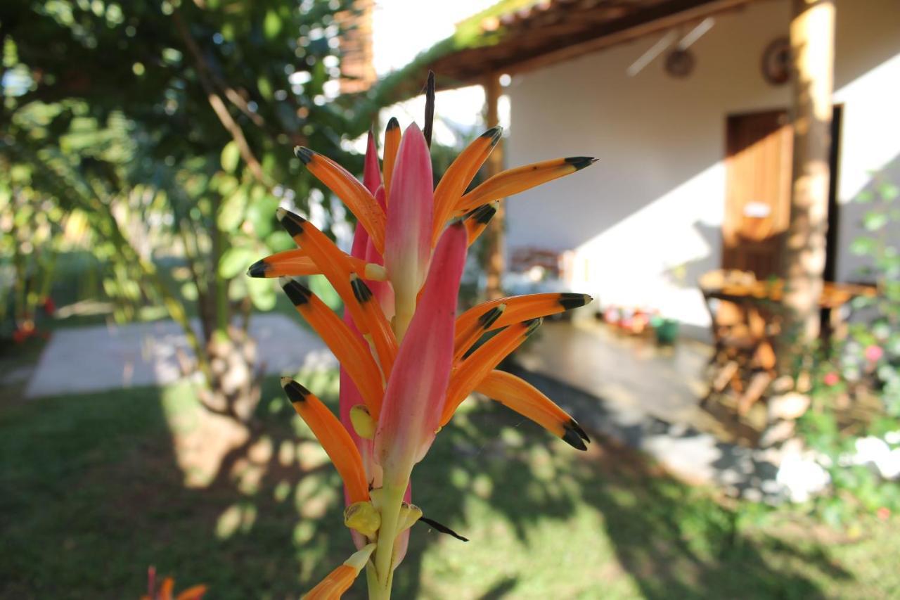 Family Guest House Velha Boipeba Dış mekan fotoğraf