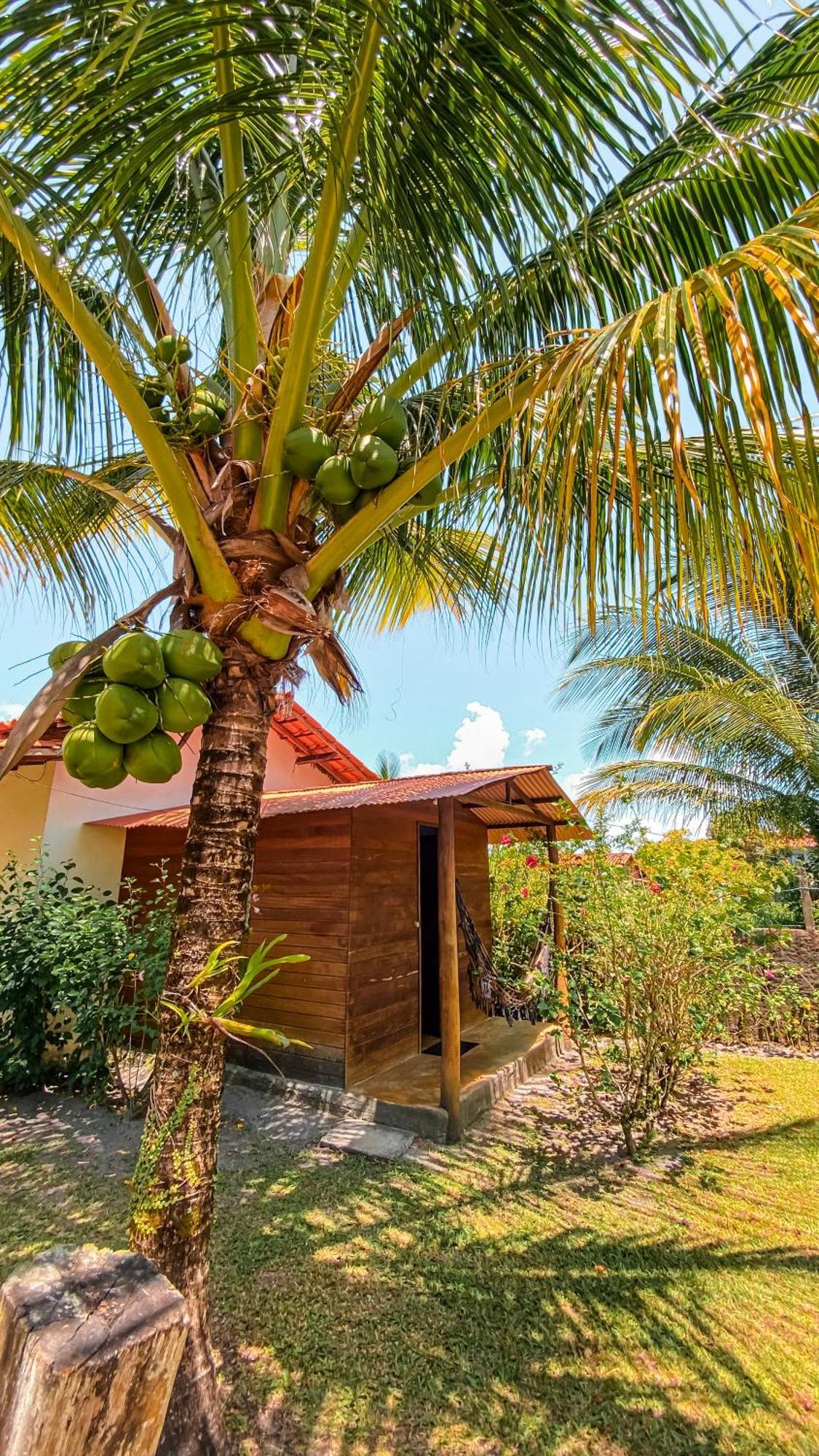 Family Guest House Velha Boipeba Dış mekan fotoğraf
